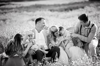 family (12 of 92)